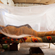 Illustration for article titled Simple Tech Has Stopped 660m Cases of Malaria in Africa Since 2000